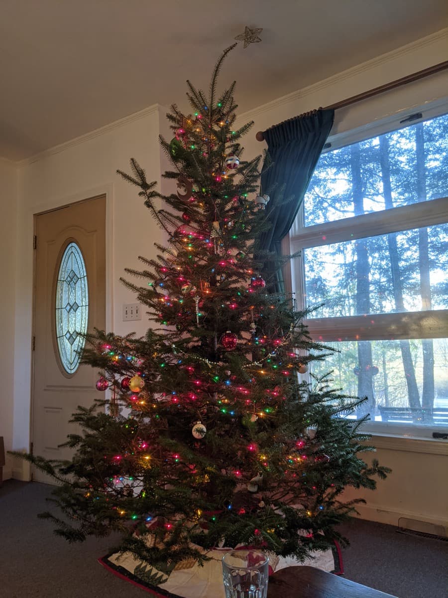 J&J Discount Store Everything you're looking for and more!